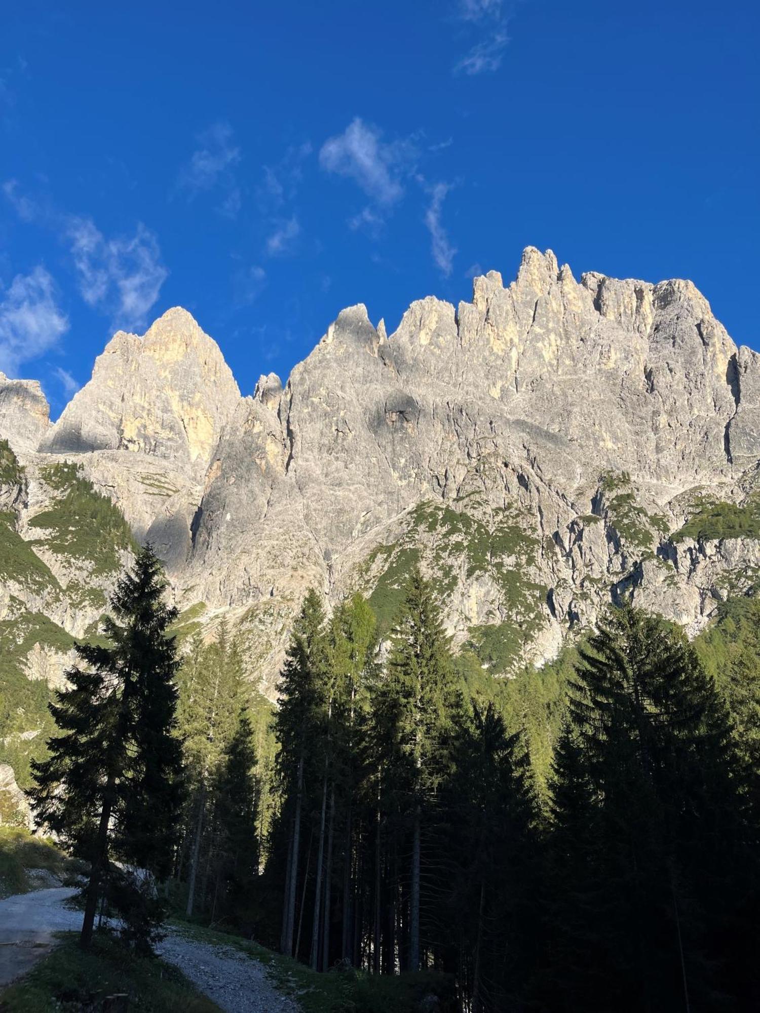 Castel Madonna Aparthotel San Martino Di Castrozza Εξωτερικό φωτογραφία